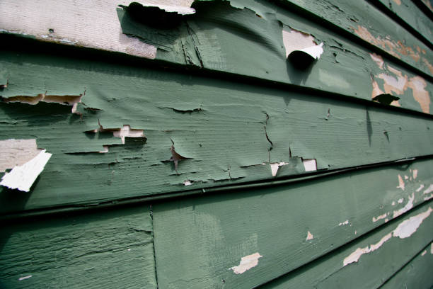 Best Demolition Debris Removal  in Warrenton, MO