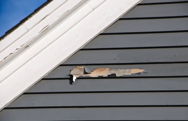 Best Foreclosure Cleanout  in Warrenton, MO